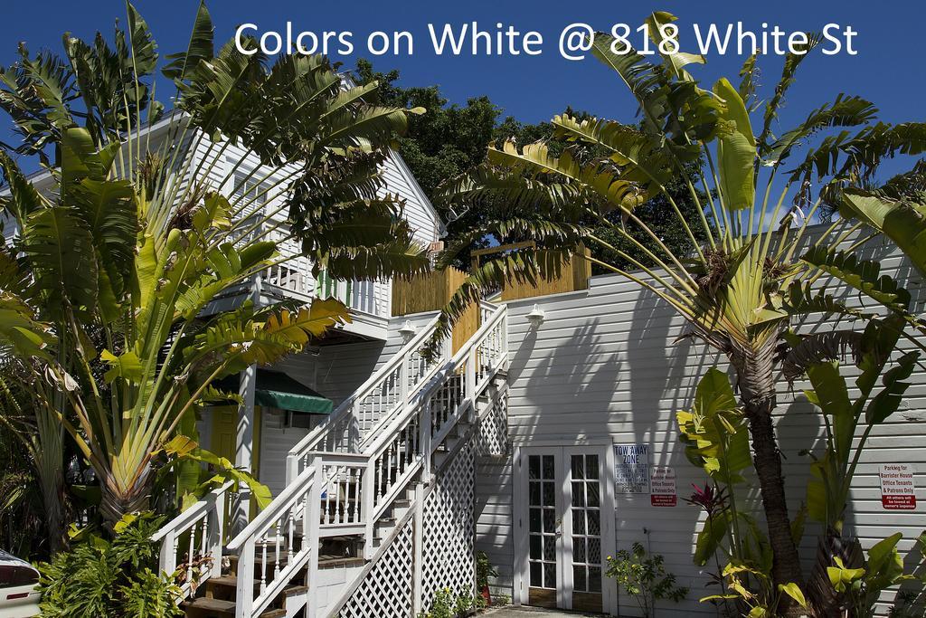 Colors On White Leilighet Key West Eksteriør bilde